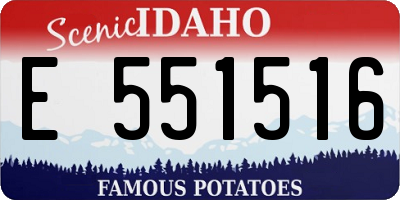 ID license plate E551516