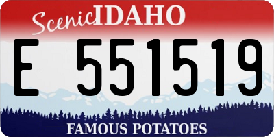 ID license plate E551519