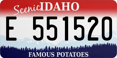 ID license plate E551520