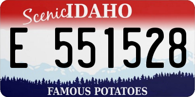 ID license plate E551528