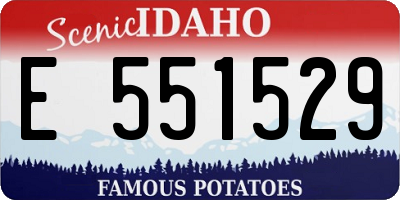 ID license plate E551529