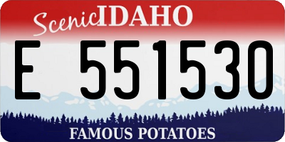 ID license plate E551530