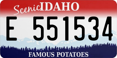 ID license plate E551534
