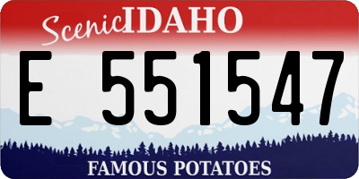 ID license plate E551547