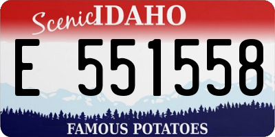 ID license plate E551558