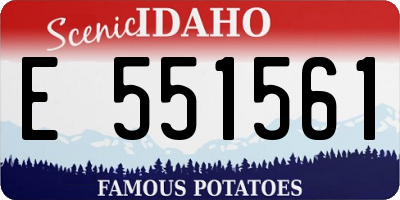 ID license plate E551561