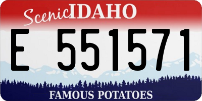 ID license plate E551571
