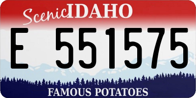ID license plate E551575
