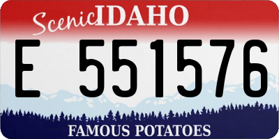 ID license plate E551576