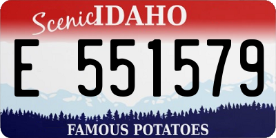 ID license plate E551579