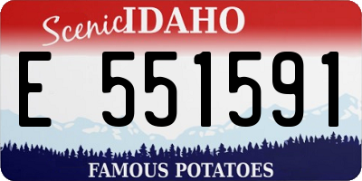ID license plate E551591