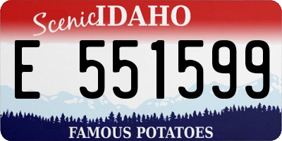 ID license plate E551599