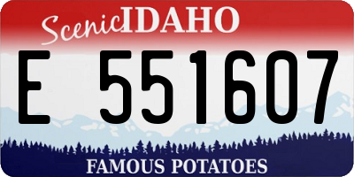 ID license plate E551607