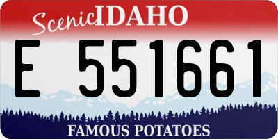 ID license plate E551661