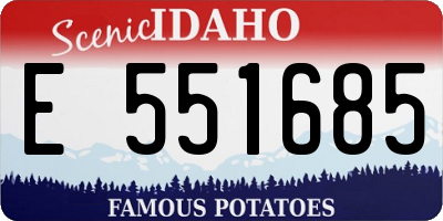 ID license plate E551685