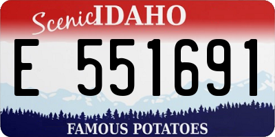 ID license plate E551691