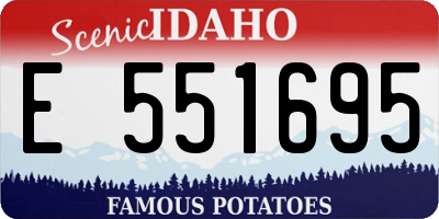 ID license plate E551695