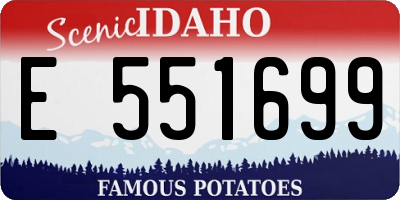 ID license plate E551699