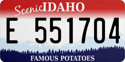 ID license plate E551704