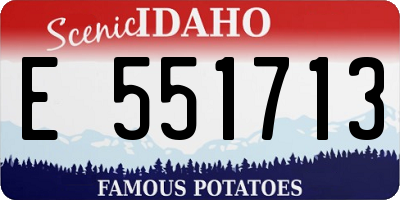 ID license plate E551713