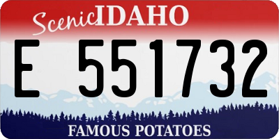 ID license plate E551732