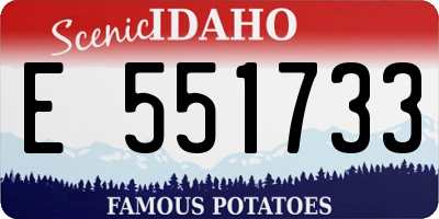 ID license plate E551733