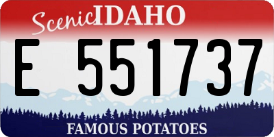 ID license plate E551737