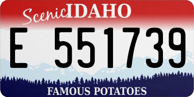 ID license plate E551739