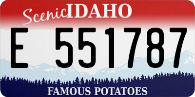 ID license plate E551787