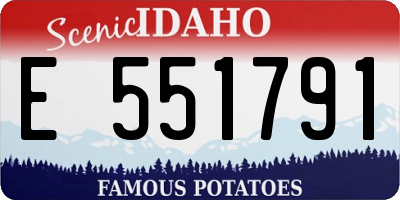 ID license plate E551791