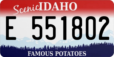 ID license plate E551802