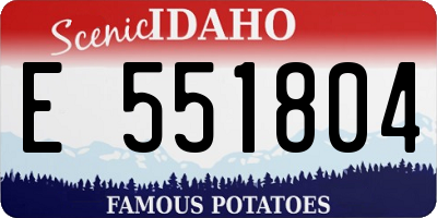 ID license plate E551804