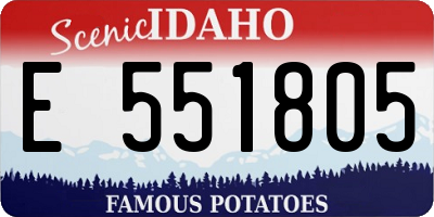 ID license plate E551805