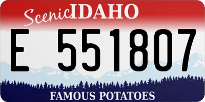 ID license plate E551807