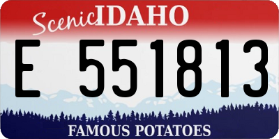 ID license plate E551813