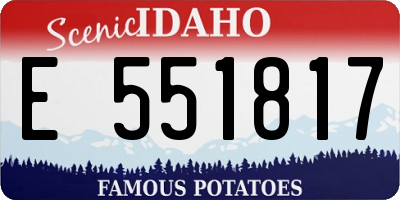 ID license plate E551817