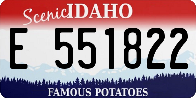 ID license plate E551822