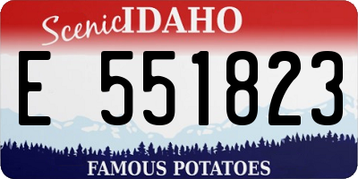 ID license plate E551823