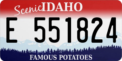 ID license plate E551824