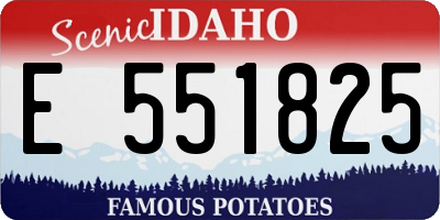 ID license plate E551825