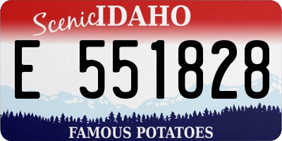 ID license plate E551828