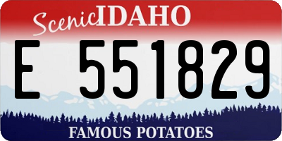 ID license plate E551829