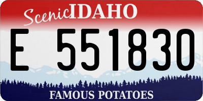 ID license plate E551830