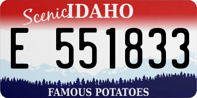 ID license plate E551833