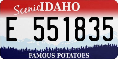 ID license plate E551835