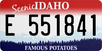 ID license plate E551841