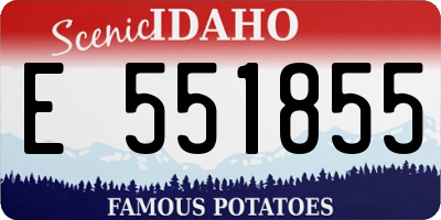 ID license plate E551855
