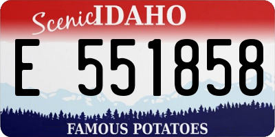 ID license plate E551858