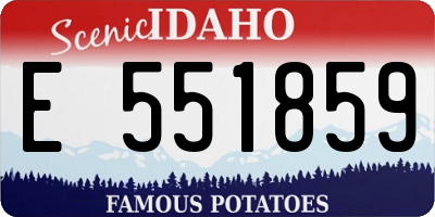 ID license plate E551859