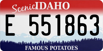 ID license plate E551863
